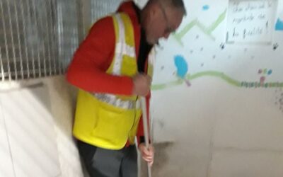 Des bénévoles nettoient les box du refuge