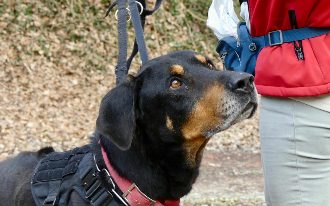 Ares